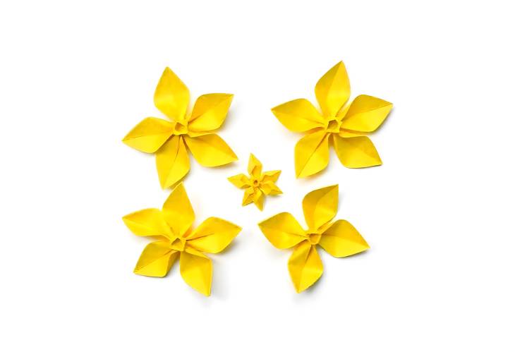 Origami Sunshine Yellow Flowers Against White